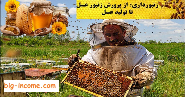 کسب درآمد از زنبورداری