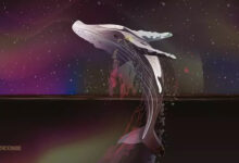 82048 اتریوم توسط نهنگ های BNB خریداری شد