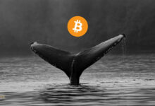 نهنگ های بیت کوین دارایی های خود را می فروشند
