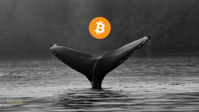نهنگ های بیت کوین دارایی های خود را می فروشند