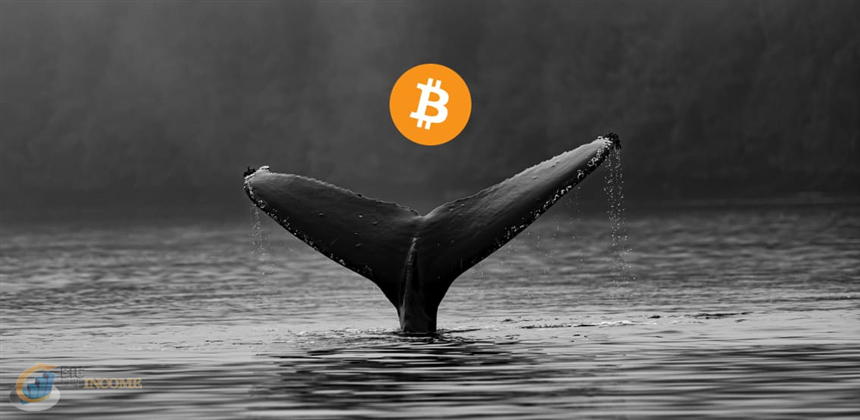 نهنگ های بیت کوین دارایی های خود را می فروشند