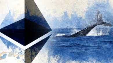 نهنگ های اتریوم 500 میلیون دلار به دارایی های خود اضافه کردند
