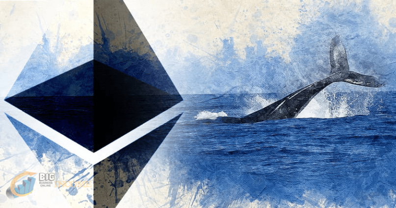 نهنگ های اتریوم 500 میلیون دلار به دارایی های خود اضافه کردند