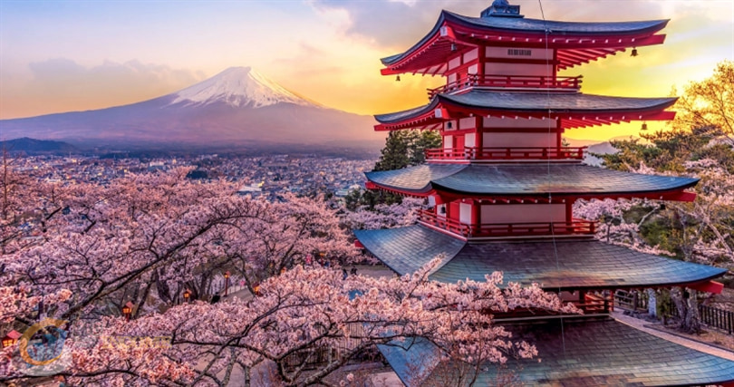 کاردانو به صرافی ژاپنی اضافه شد