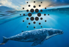 کاردانو رکورد 15000 درصد افزایش آدرس نهنگ ها را شکست