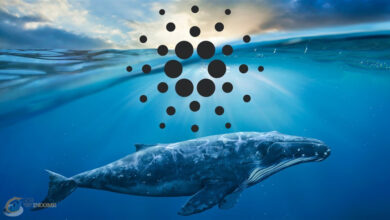کاردانو رکورد 15000 درصد افزایش آدرس نهنگ ها را شکست