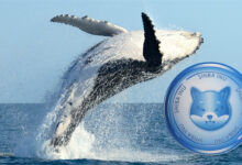 نهنگ شیبا اینو آلتکوین های دیگر را خریداری میکند