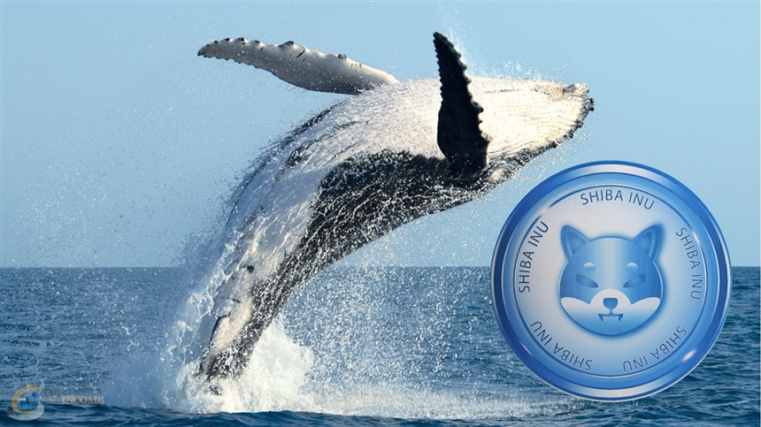نهنگ شیبا اینو آلتکوین های دیگر را خریداری میکند