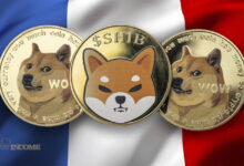 شیبا اینو و دوج کوین محبوبترین ارز دیجیتال در فرانسه