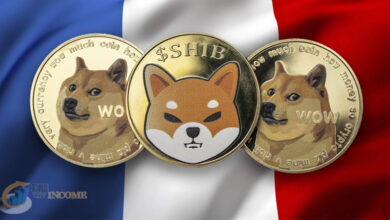 شیبا اینو و دوج کوین محبوبترین ارز دیجیتال در فرانسه