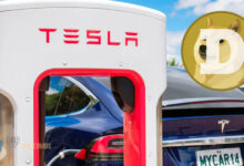 پرداخت با دوج کوین در ایستگاه های شارژ تسلا