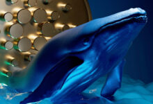 نهنگ های کاردانو تراکنش های بزرگ را افزایش می دهد