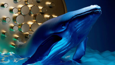 نهنگ های کاردانو تراکنش های بزرگ را افزایش می دهد
