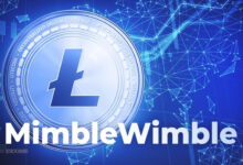 راه اندازی MimbleWimble برای لایت کوین