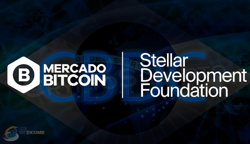 مشارکت استلار با مرکادو برزیل