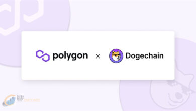 در دسترس بودن Dogechain در Polygon Edge