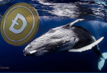 فشار خرید نهنگ های دوج کوین