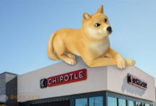 دوج کوین Chipotle را تسخیر کرد