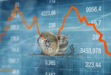 وثیقه کاردانو در فیوچرز