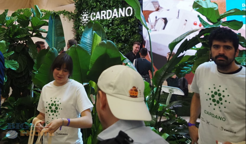 پشتیبانی از کاردانو در بانک سیگنوم