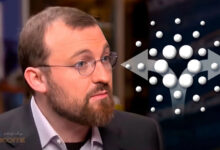 چارلز هاسکینسون از تاخیر هاردفورک واسیل گفت