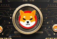 شمارش معکوس برای شیبا اینو