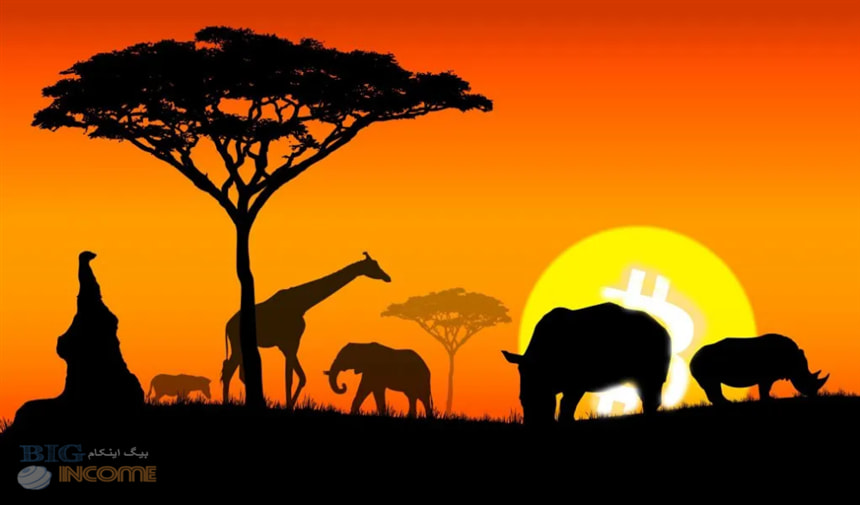 چشم انداز مثبت صندوق بین المللی پول از پذیرش بیت کوین در آفریقای مرکزی