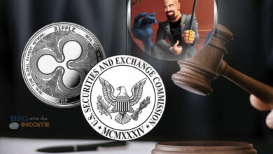 بیخطر بودن درخواست تجدید نظر SEC برای دارندگان ریپل
