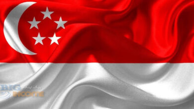 حفاظت از سرمایه گذار و صنعت ارزهای دیجیتال در سنگاپور