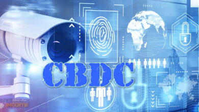 چارچوب های CBDC برای حریم خصوصی کاربر و انتخاب پولی