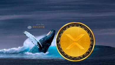 جابجایی عظیم XRP توسط نهنگ ها