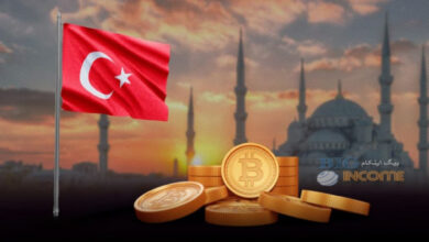 خرید سهم استیبل کوین ها در ترکیه