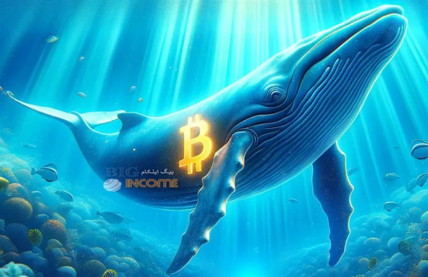 با افت اخیر نهنگ ها به سرعت بیت کوین میخرند