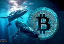 نهنگ های بیت کوین شرایط را زیر نظر دارند