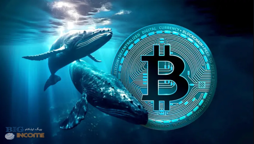 نهنگ های بیت کوین شرایط را زیر نظر دارند
