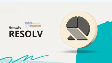 معرفی جامع پروژه رمزارز ریزالو (Resolv)