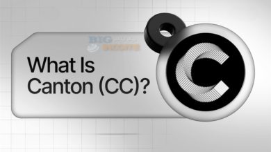 بلاکچین کانتون (Canton) چیست؟
